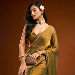 Solid Beads and Stones Saree